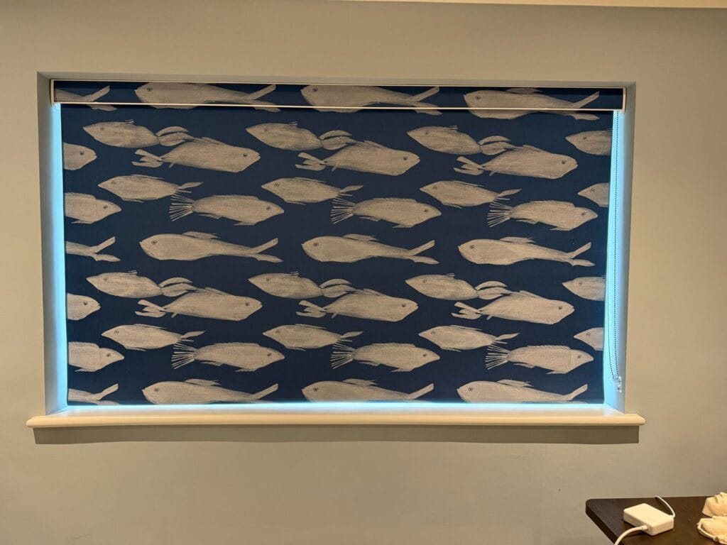 Patterned blinds in Whitstable